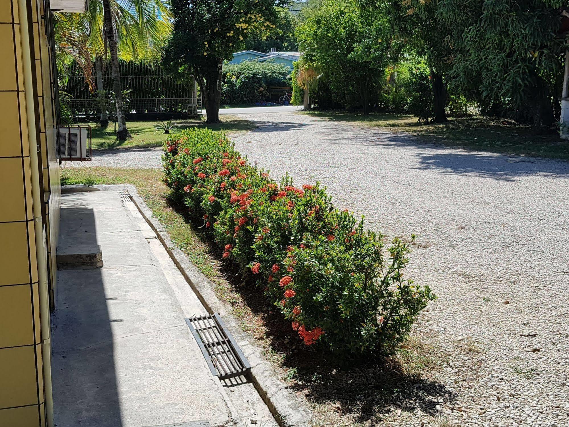 Hotel Nicoya Exterior photo
